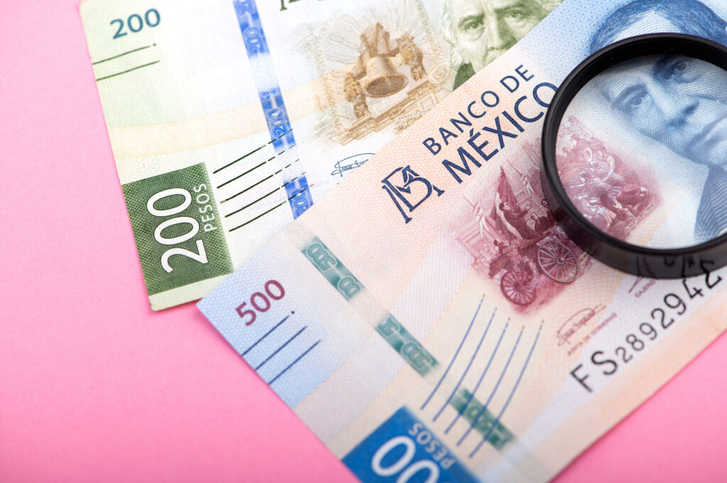 Mexican peso rises in opposition to greenback after Biden’s withdrawal from presidential race | USAEMALL.com
