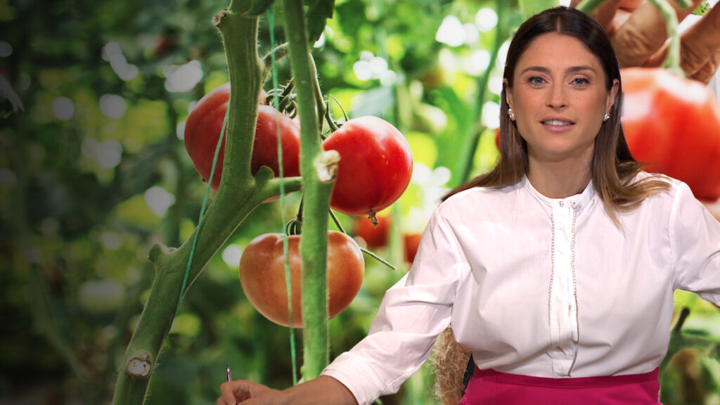 Are Gen Z rejecting metropolis life for farm life? | TV Shows | USAEMALL.com