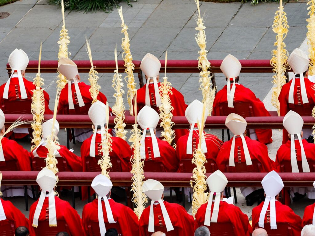 Cardinals meet to determine funeral plans for Pope Francis | Religion News | USAEMALL.com