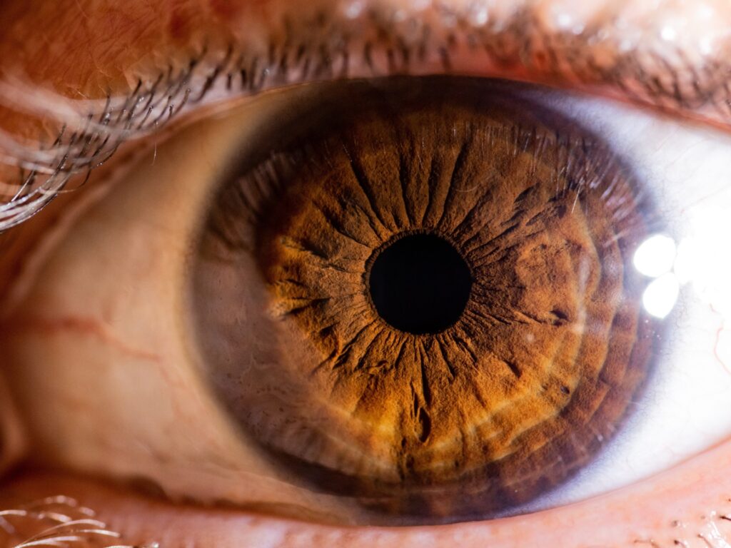 Have scientists found a brand new color known as ‘olo’? | Science and Technology News | USAEMALL.com