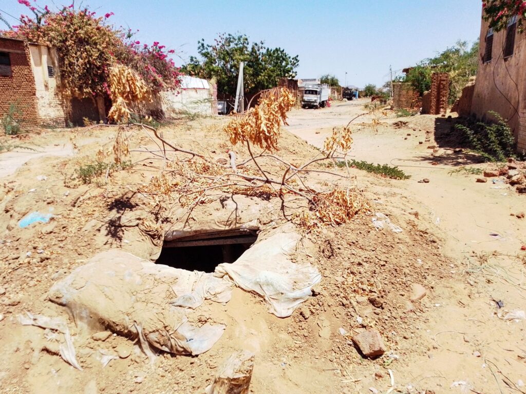 Sudan’s military battles RSF advances in el-Fasher, Bara as civil warfare rages | News | USAEMALL.com