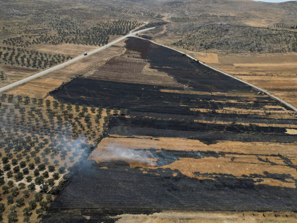 Israel is continuing with annexation, and there is just one method to cease it | Israel-Palestine battle | USAEMALL.com