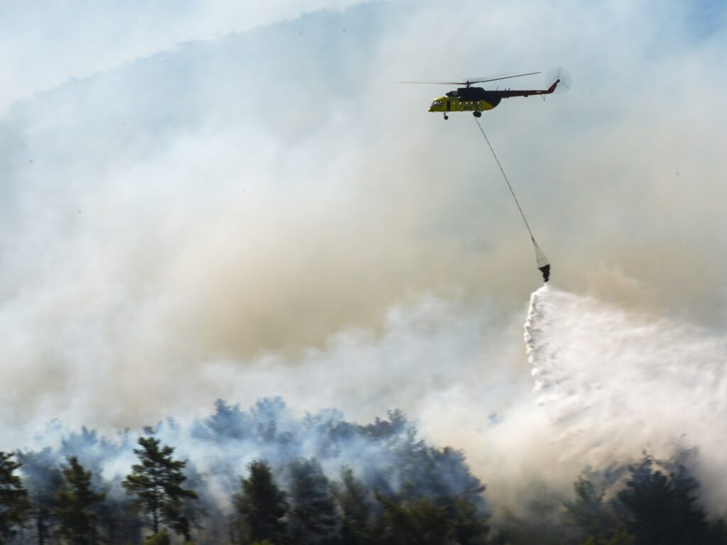 Wildfires fanned by robust winds scorch Turkiye’s Izmir | Wildlife News | USAEMALL.com