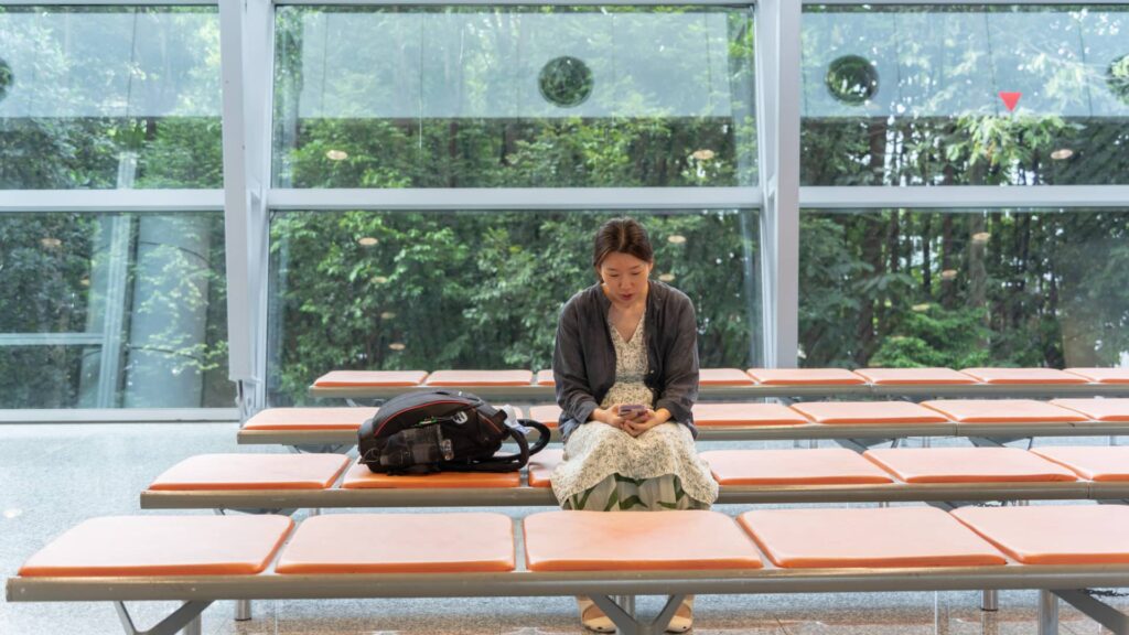 Asians are avoiding journeys to U.S. this 12 months for a wide range of causes | USAEMALL.com