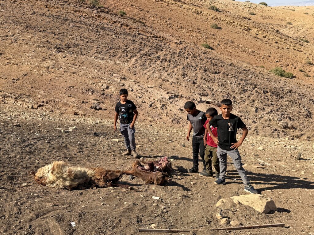 Palestinian baby shot useless in West Bank by Israeli forces amid land grabs | Israel-Palestine battle News | USAEMALL.com