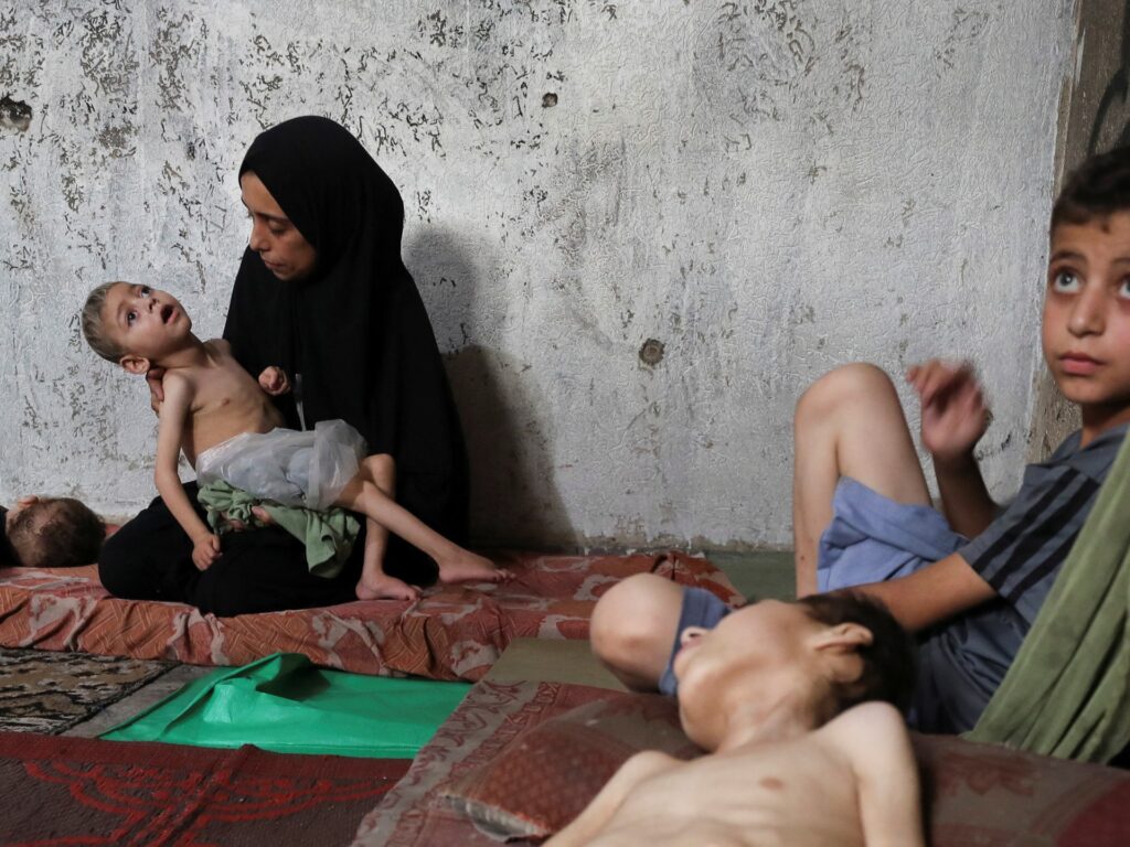 Death toll from hunger in Gaza rises to 115 as Israeli assaults proceed | Israel-Palestine battle News | USAEMALL.com