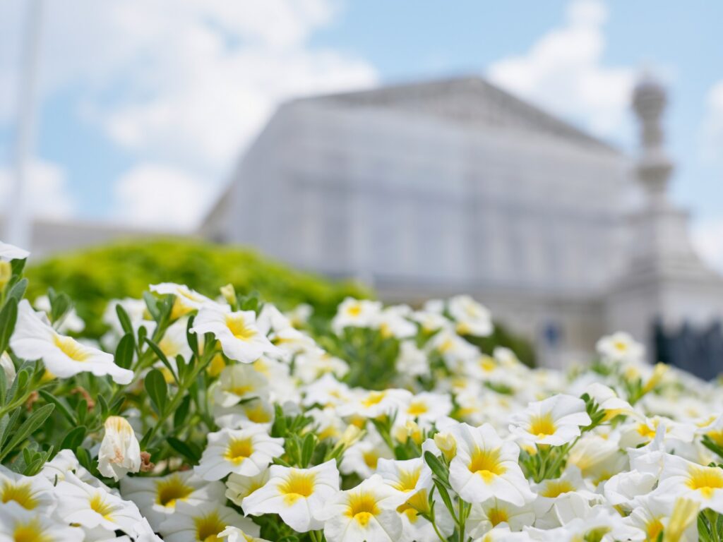 US Supreme Court says Trump can take away Democrats from shopper security panel | Donald Trump News | USAEMALL.com