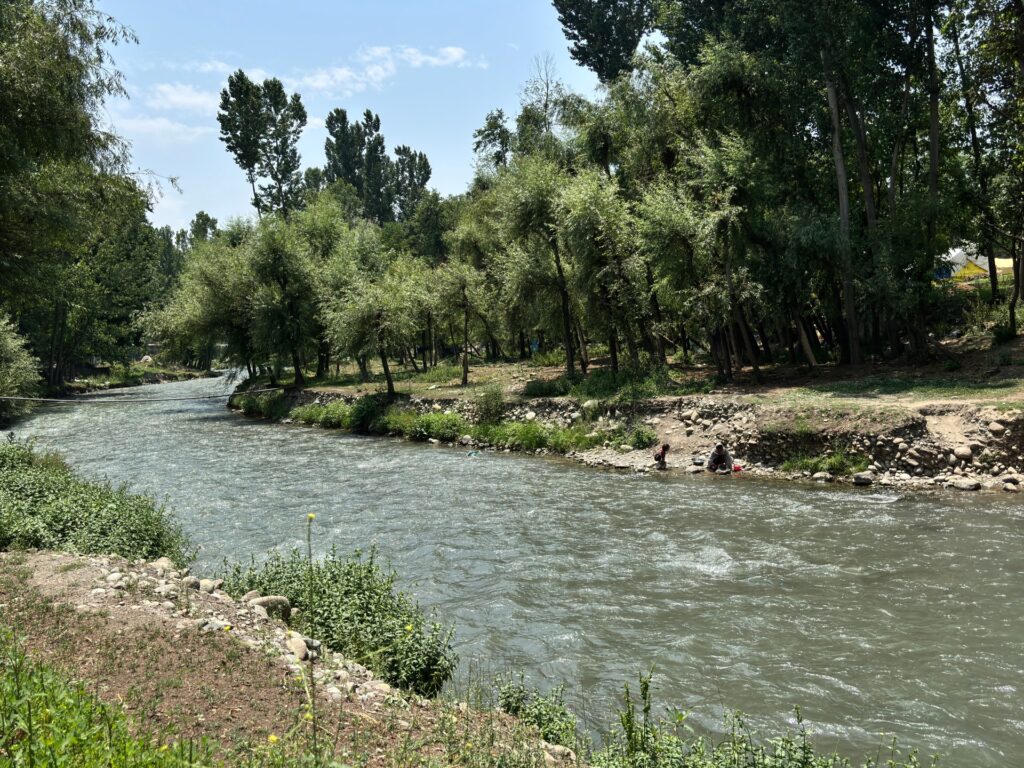 Otters noticed in Kashmir waters, and residents are each thrilled and cautious | Wildlife News | USAEMALL.com