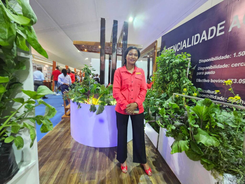 ‘Food, jobs, hope’: Mozambique seeks funding path to financial restoration | Business and Economy News | USAEMALL.com