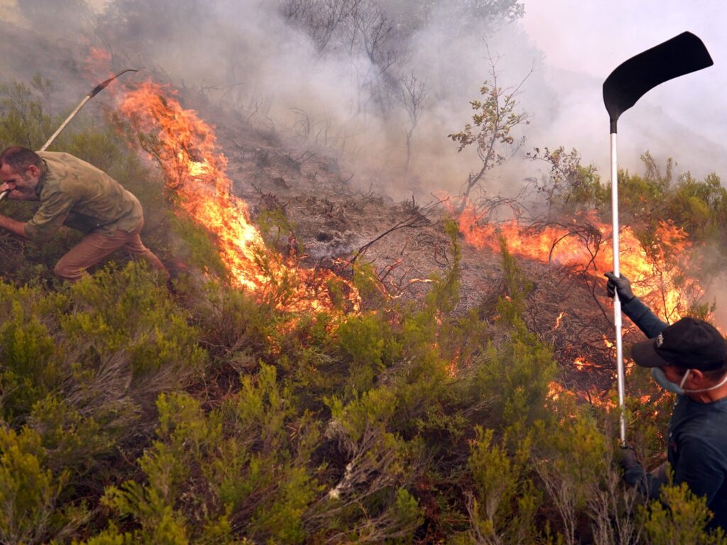 Spain’s August heatwave was ‘most intense on record’, climate company says | Climate News | USAEMALL.com