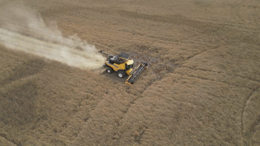 Tariffs dampen harvest season for Canadian farmers – National | USAEMALL.com