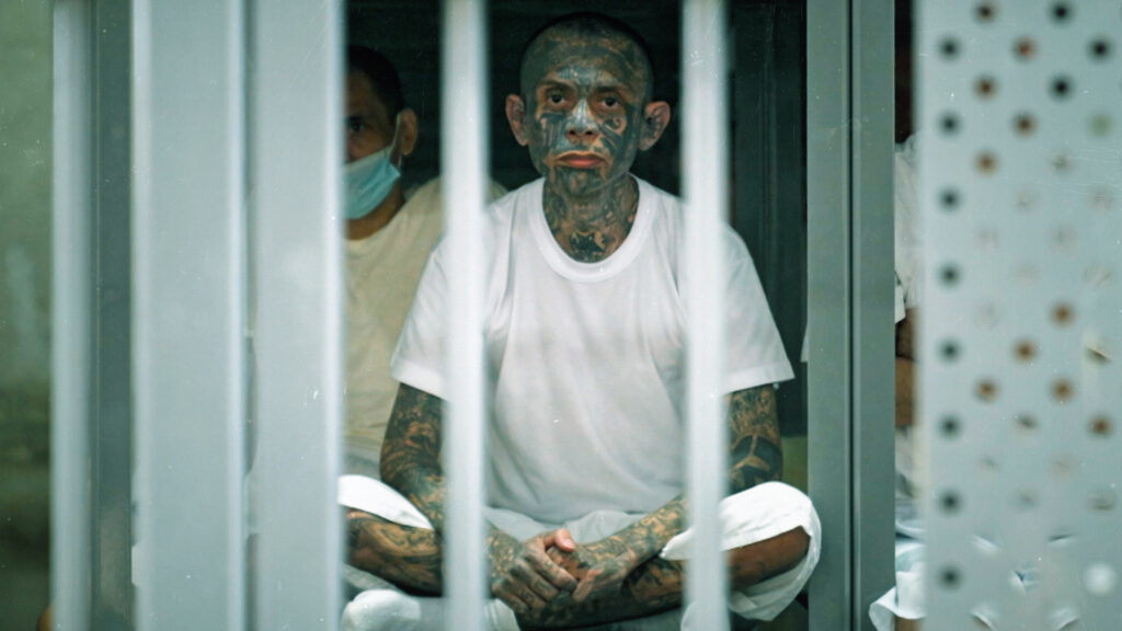 The Cost of Control | Civil Rights | USAEMALL.com