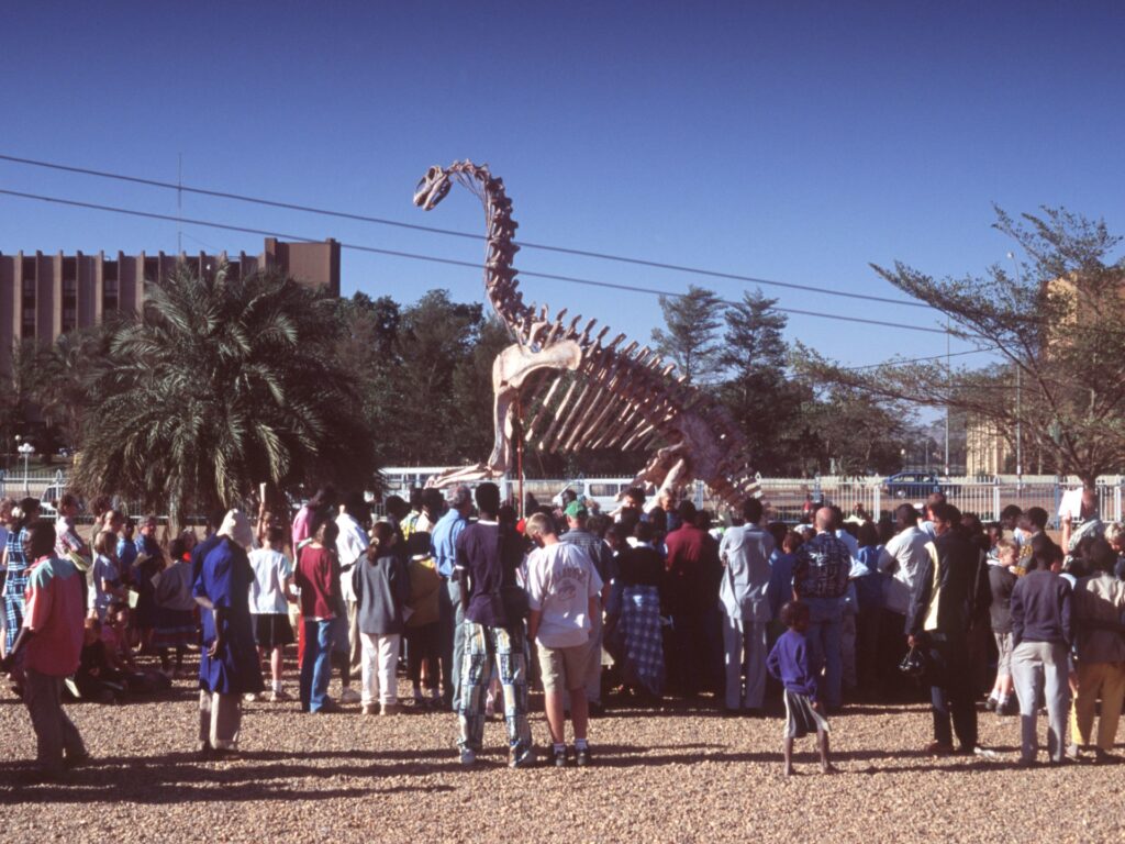 Dinosaurs to supercrocs: Niger’s bone keepers protect its historical fossils | Arts and Culture | USAEMALL.com