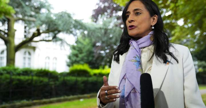 Foreign minister ‘looking into’ how Canadian firearms received to Russia | USAEMALL.com