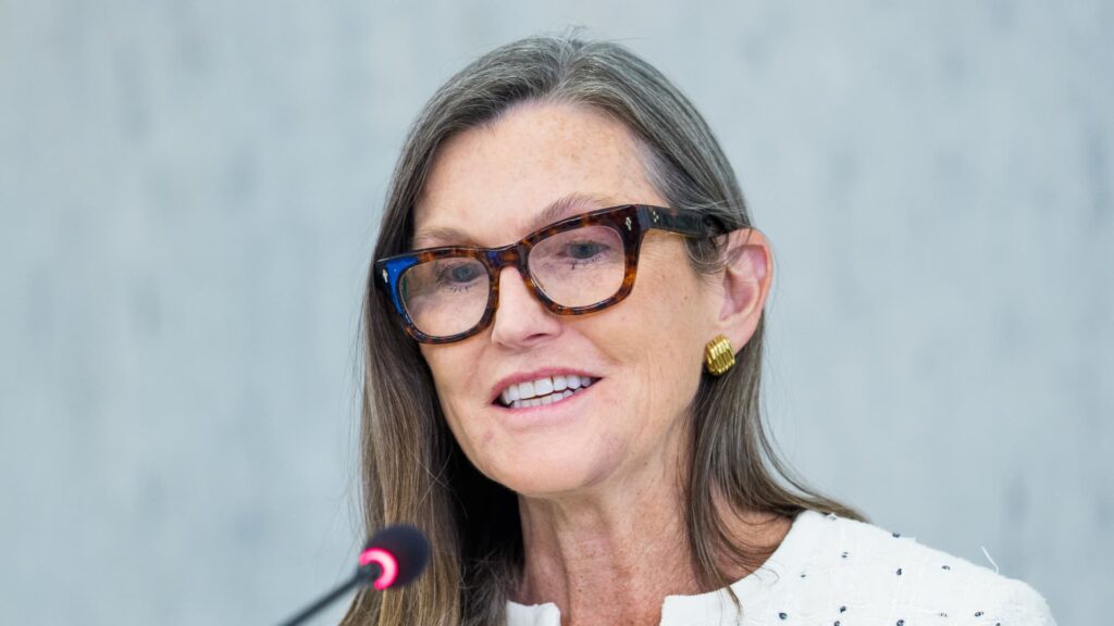 Cathie Wood flags market correction threat however rejects AI bubble fears | USAEMALL.com