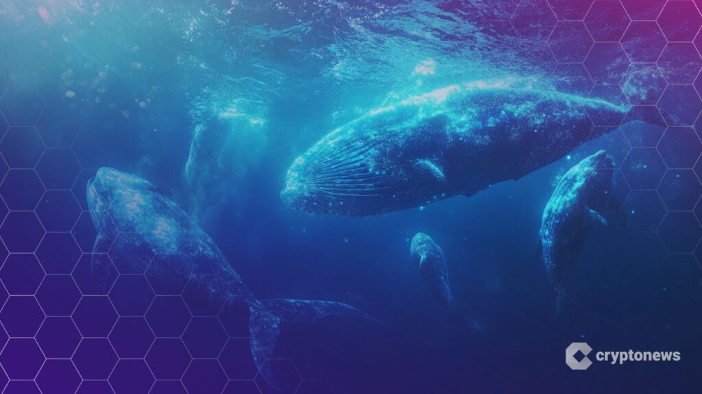 OpenSea to Launch SEA Token in Q1 2026, Allocating 50% to Community | USAEMALL.com