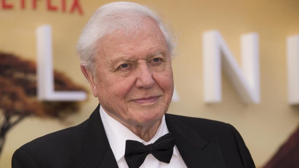 David Attenborough turns into oldest Daytime Emmy winner | USAEMALL.com