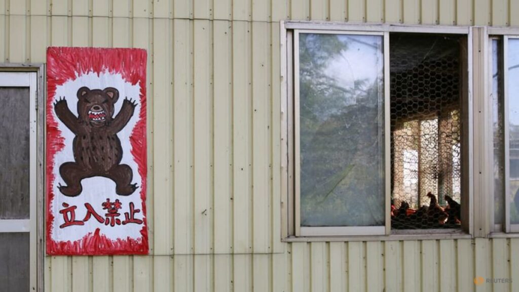Japanese area asks military to cull bears as assaults spike | USAEMALL.com