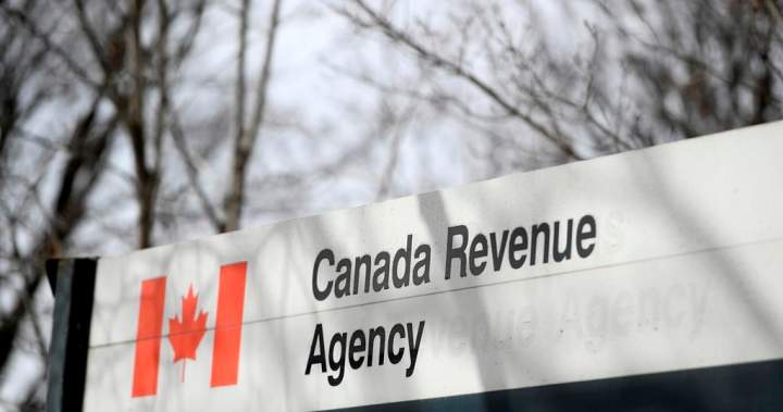 CRA says AI will assist increase name centre accuracy for taxpayers looking for data – National | USAEMALL.com