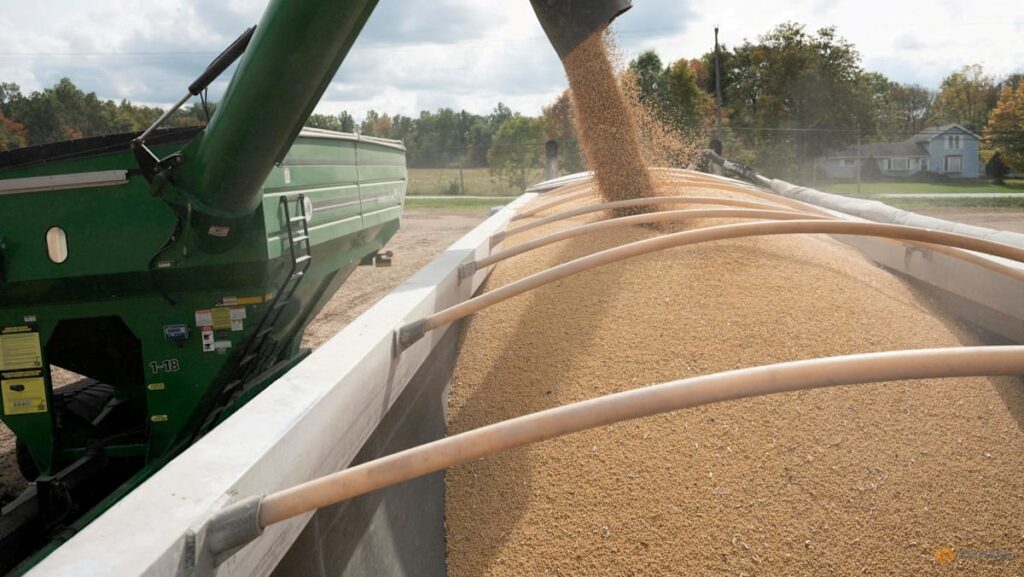 China imports no US soybeans in September for first time in seven years | USAEMALL.com