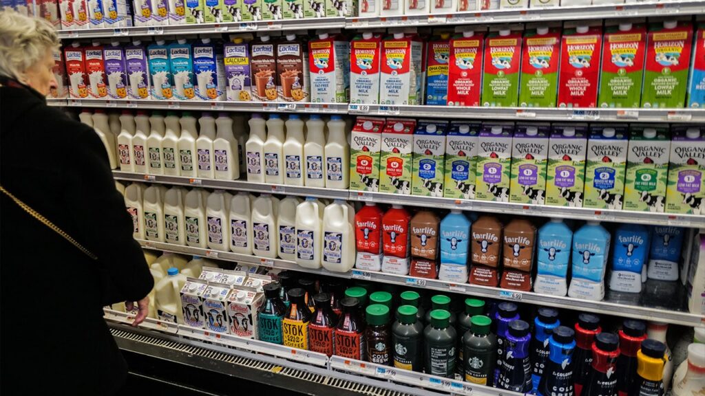 Boston considers government-owned grocery shops after Atlanta success | USAEMALL.com