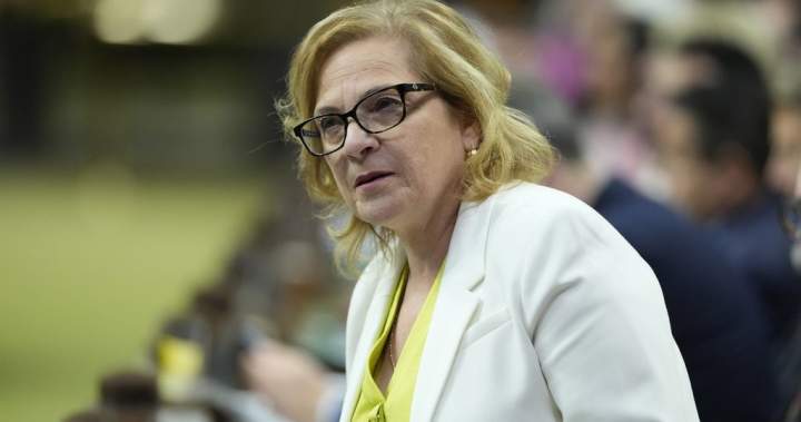 Immigration minister says invoice’s set off for brand spanking new powers deliberately imprecise – National | USAEMALL.com