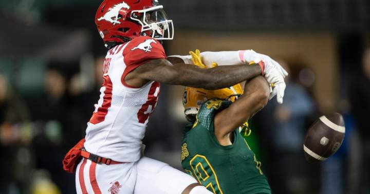Stampeders beat Elks, transfer into second within the West | USAEMALL.com