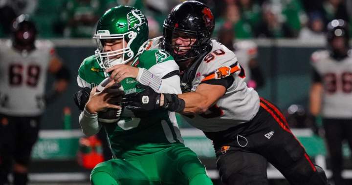 Lions take six-game win streak into playoffs | USAEMALL.com