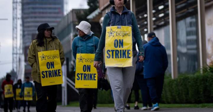 BCGEU says tentative settlement reached in historic strike | USAEMALL.com
