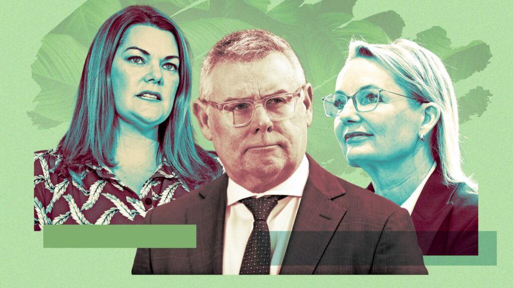 Labor MPs warn Murray Watt to not intestine setting legal guidelines in Senate talks | USAEMALL.com