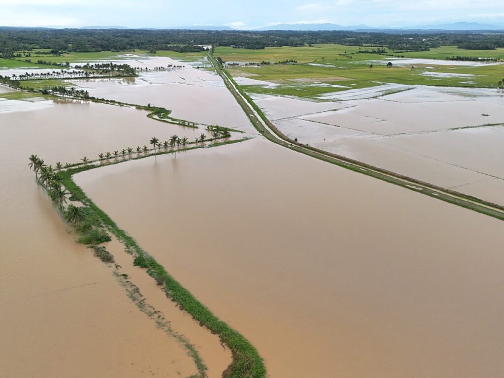 Thousands evacuate Philippine coast as Tropical Storm Fengshen approaches | Climate Crisis News | USAEMALL.com