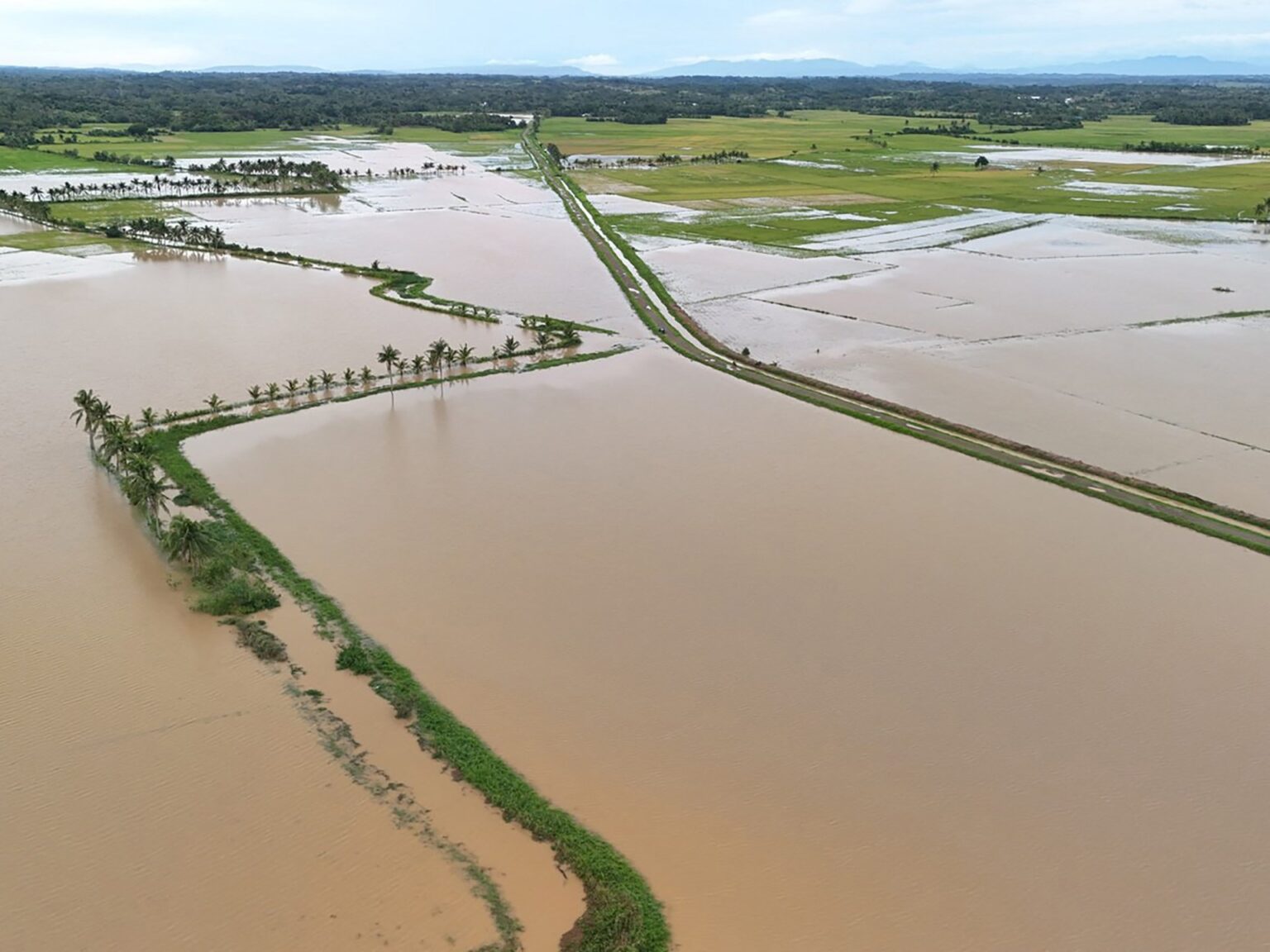 Thousands evacuate Philippine coast as Tropical Storm Fengshen approaches | Climate Crisis News | USAEMALL.com