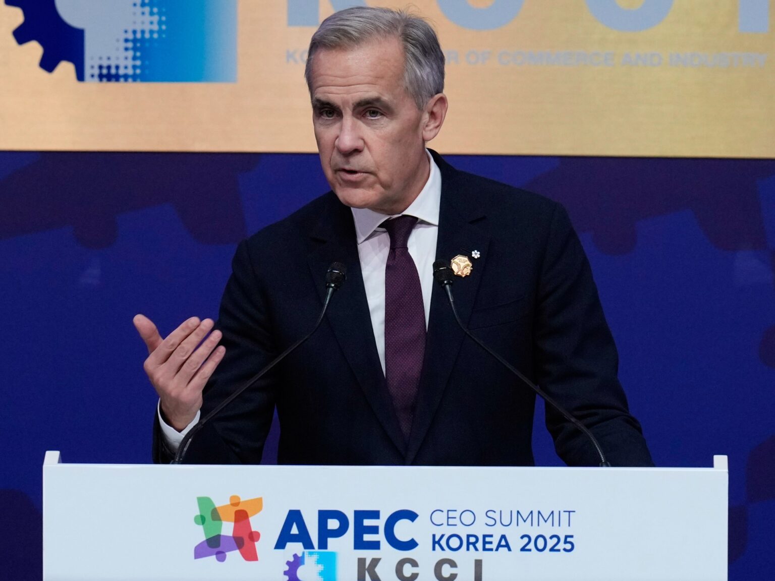 Canada’s Carney and China’s Xi Jinping take step in the direction of mending ties | Trade War News | USAEMALL.com