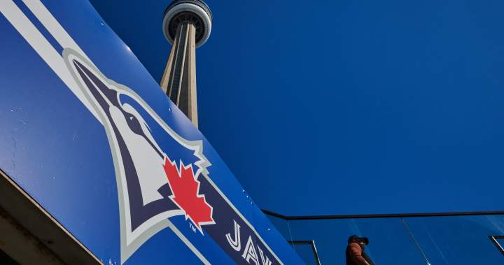 Spending soared in Toronto as Blue Jays entered World Series, knowledge reveals – National | USAEMALL.com