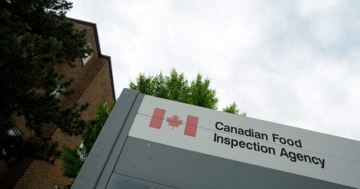 ‘Presence of insects’ prompts recall of Canadian soup combine – National | USAEMALL.com