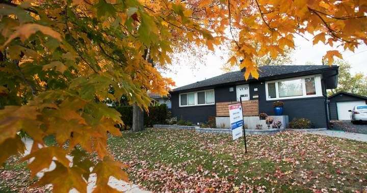 Ontario metropolis to nice householders who block public paths with unfastened leaves | USAEMALL.com