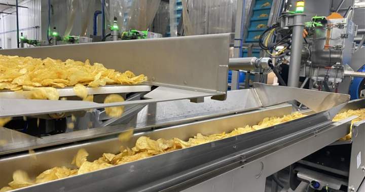 N.B. neighbours of Covered Bridge Potato Chips manufacturing unit involved about noise, security – New Brunswick | USAEMALL.com