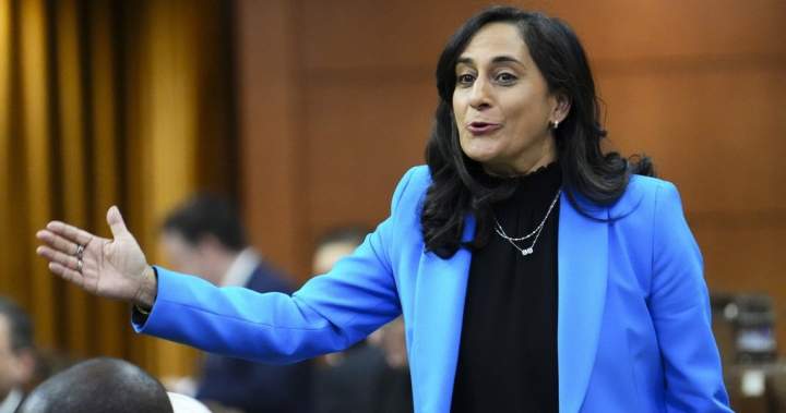Canada wants new Indo-Pacific technique because it seeks deeper Asia ties: Anand – National | USAEMALL.com