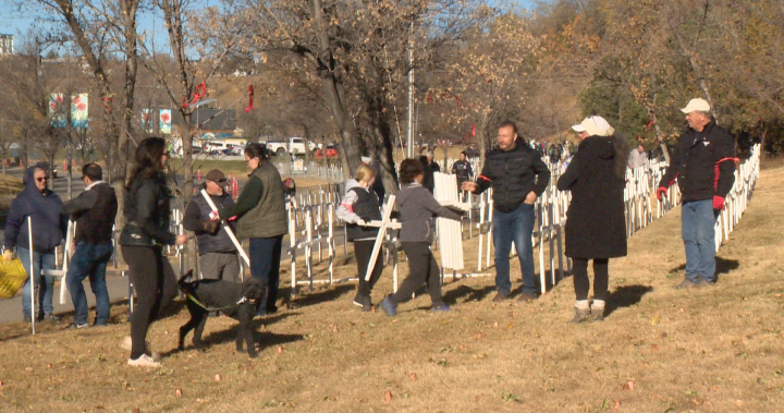 Field of Crosses welcoming college students regardless of Alberta trainer strike | USAEMALL.com