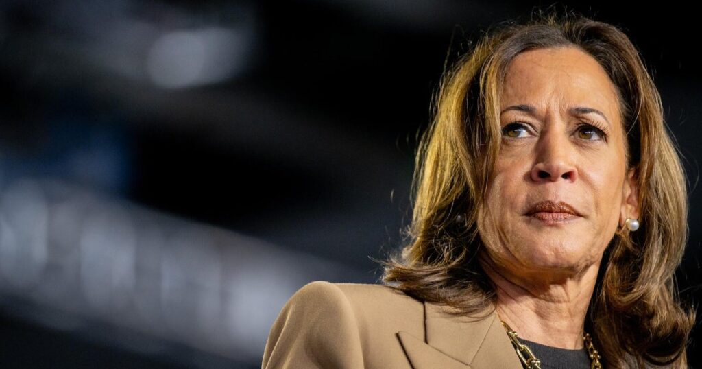 Kamala Harris says “I am not done,” leaving the door open for an additional presidential run | USAEMALL.com