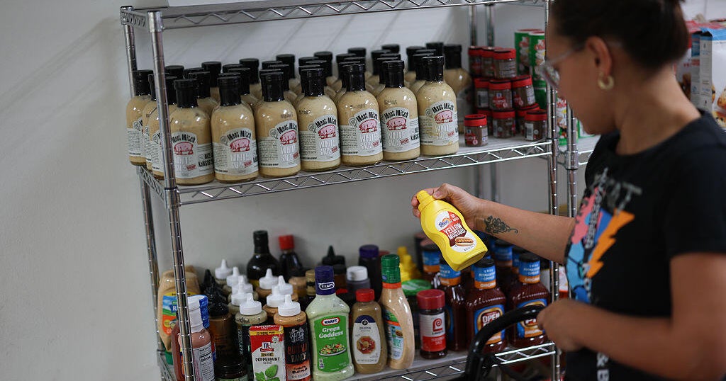 25 states sue Trump administration over SNAP meals stamp freeze throughout shutdown | USAEMALL.com