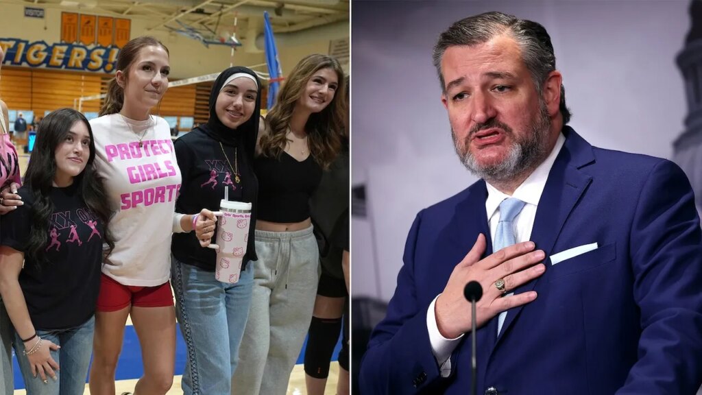 Ted Cruz condemns girls who made gestures at women sports activities protesters | USAEMALL.com