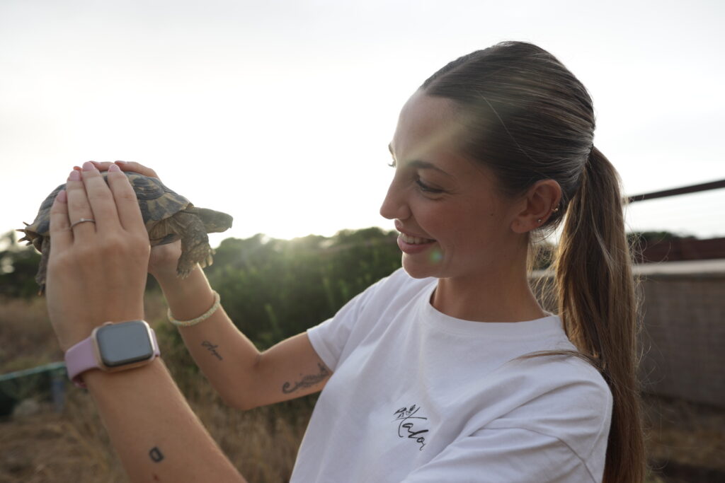 After the Floods: Saving Spain’s Turtles | Documentary | USAEMALL.com