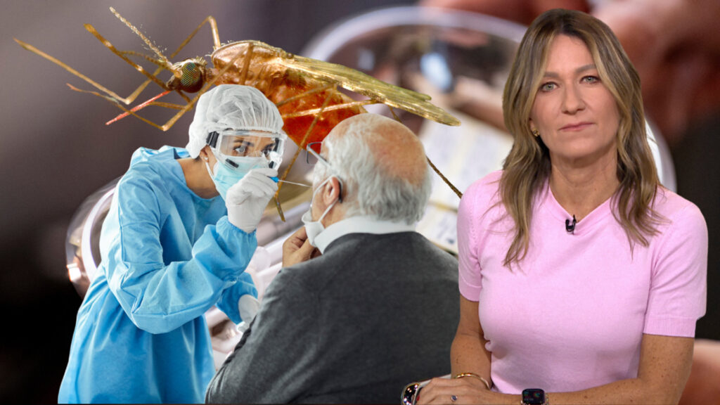 Is the world prepared for one more pandemic? | Health | USAEMALL.com