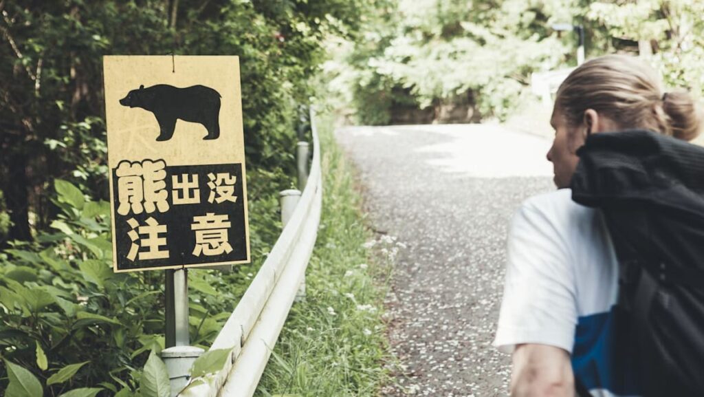 Bear kills one other particular person in Japan in document 12 months for deadly assaults | USAEMALL.com