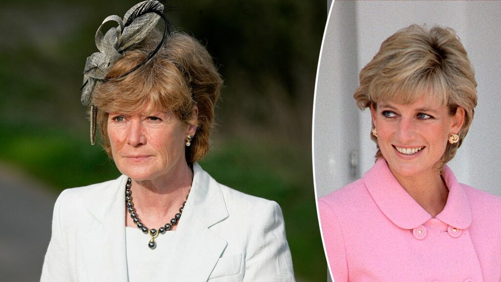 Princess Diana’s sister hospitalized after unhealthy horse driving fall | USAEMALL.com