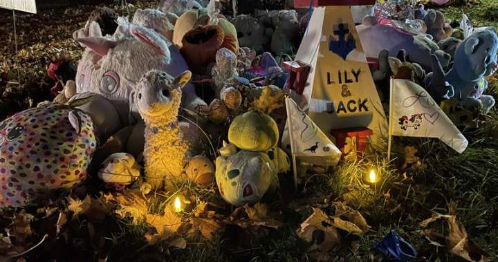 N.S. lacking children: Stepfather believes Jack, Lilly ‘didn’t wander’ into woods | USAEMALL.com