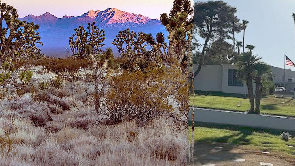 Cremated human stays discovered dumped in Nevada desert recovered, sparks probe | USAEMALL.com