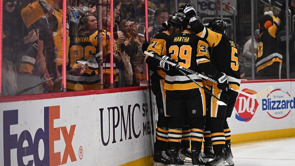 NHL fan hospitalized after fall from higher concourse of Penguins’ area | USAEMALL.com