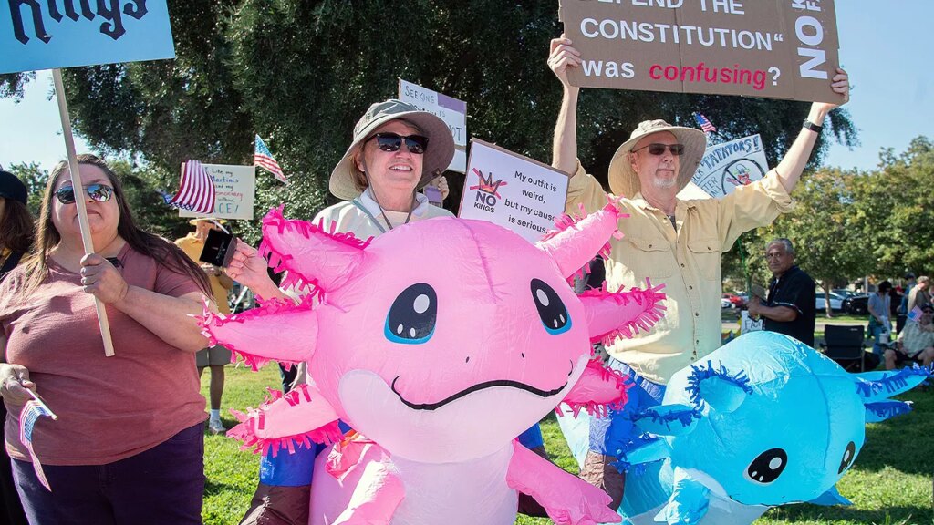 Psychotherapist calls ‘No Kings’ protests group remedy in streets | USAEMALL.com